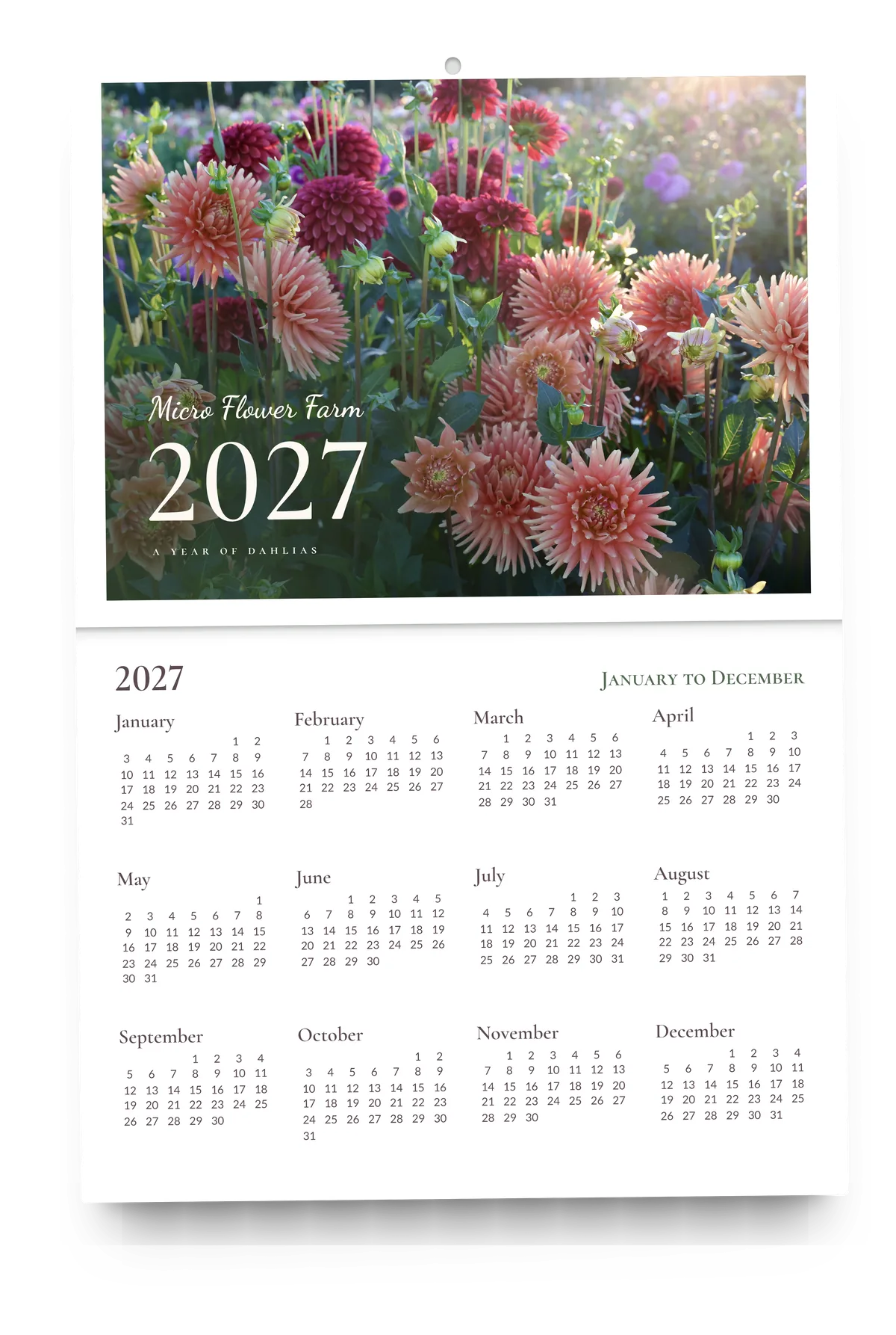 The 2027 Dahlia Calendar hanging open on its cover, with the year at a glance below