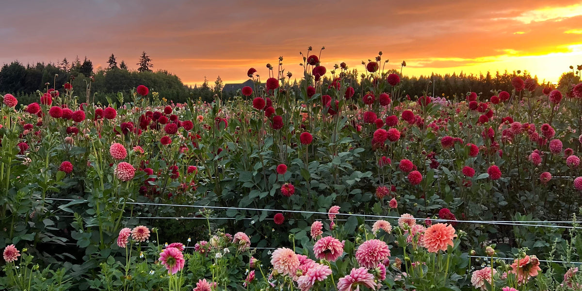 2024: A Year in Review