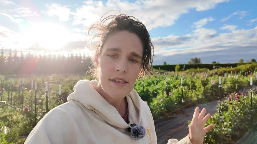 End of July Flower Field Tour!