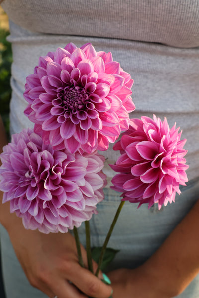 Florelie Jeanette