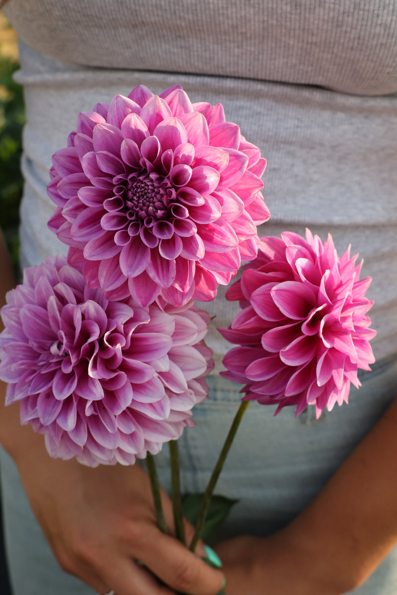 Florelie Jeanette