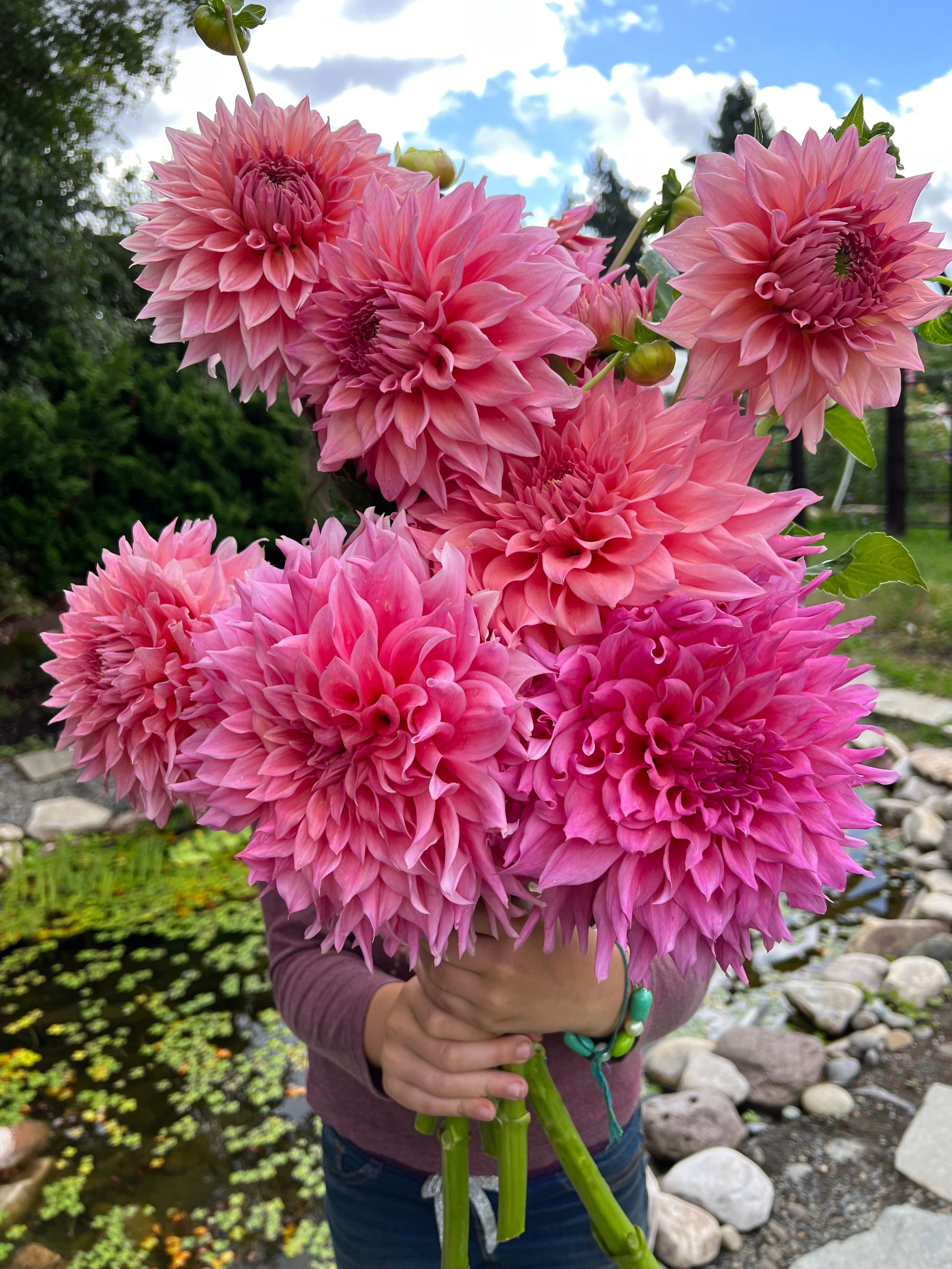 Wyn's Pink Pearl – Micro Flower Farm