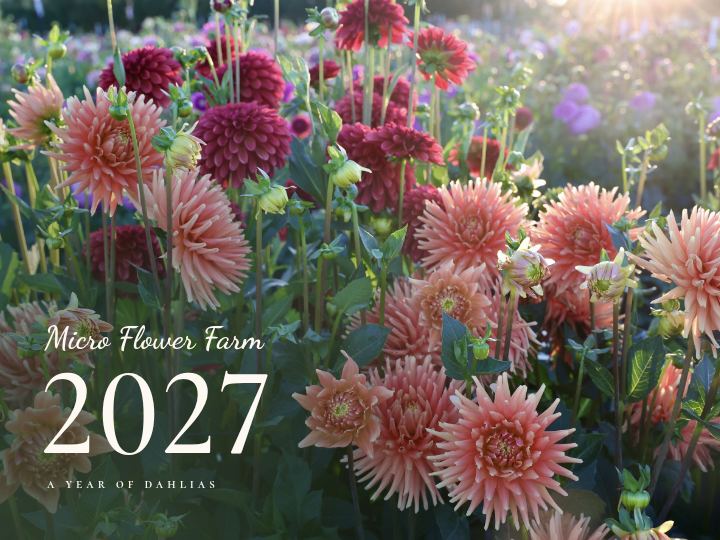 Calendar cover